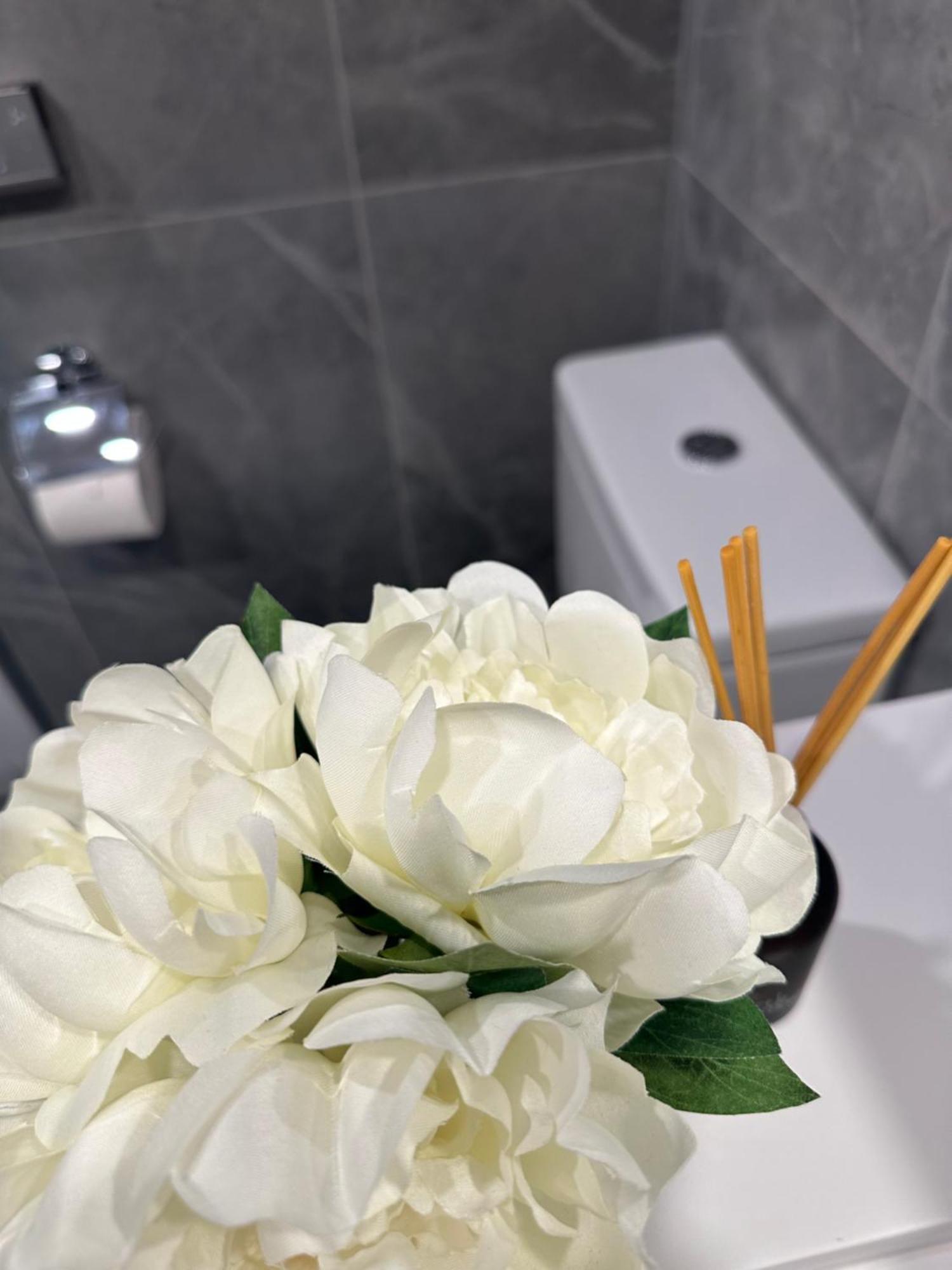 Private 1 Bed Accom With Bathroom In A 3 Bed Apartment - Melb Cbd, Regency Towers - Free Parking, Wifi And Pool メルボルン エクステリア 写真